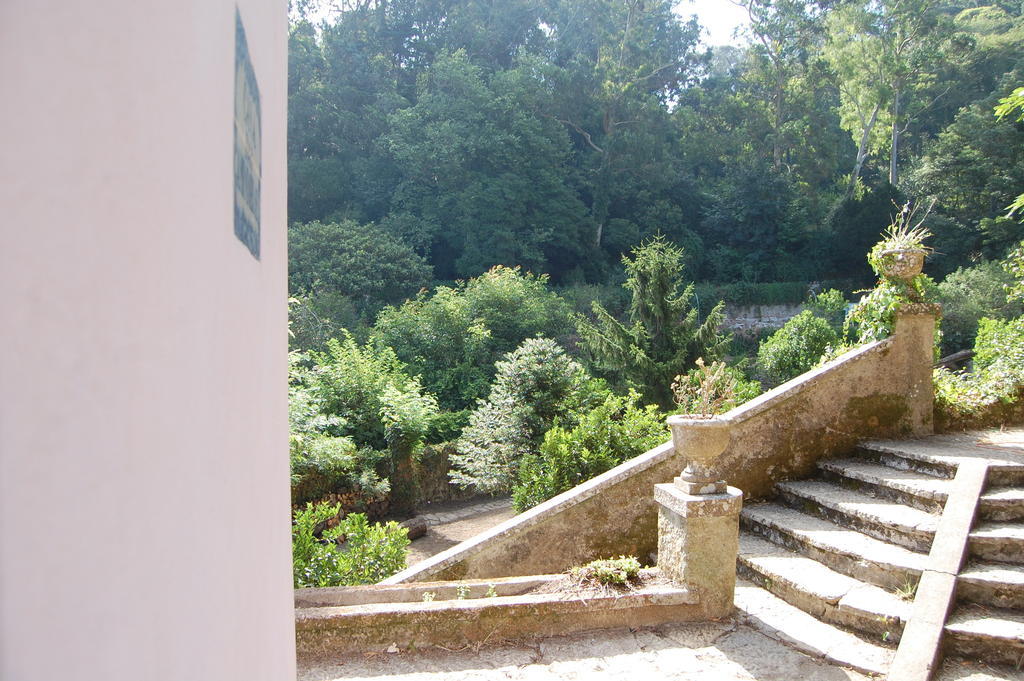 Quinta Do Castanheiro Hotel Sintra Exterior foto